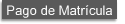 Pago de Matr�cula
